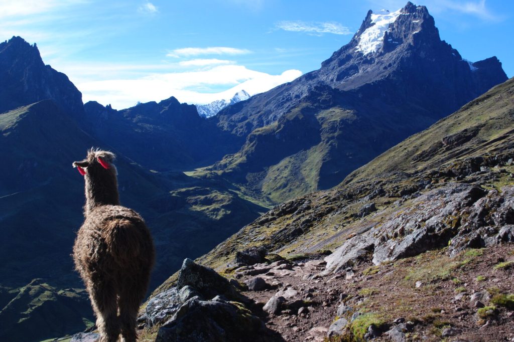 Lares Trek to Machupicchu 4 days